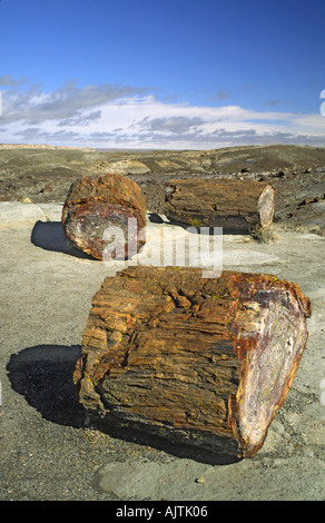 Le bois pétrifié dans la région de la forêt de cristal, l'hiver, le Parc National de la Forêt Pétrifiée, Arizona, USA Banque D'Images
