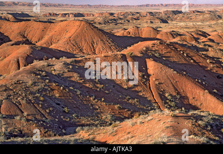 Painted Desert view Point, de Tiponi en hiver, le Parc National de la Forêt Pétrifiée, Arizona, USA Banque D'Images