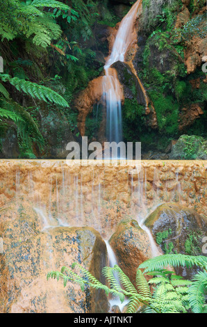 Caldeira Velha cascade et bassin de baignade, l'île de São Miguel, aux Açores. Banque D'Images