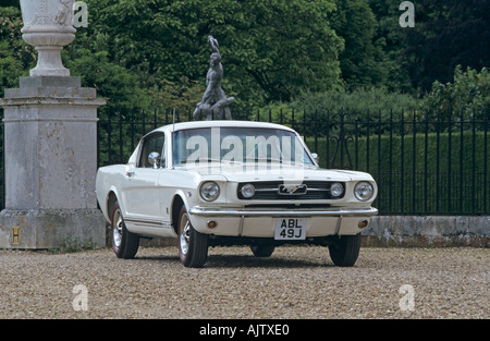 Ford Mustang GT Fastback de 1966 Banque D'Images