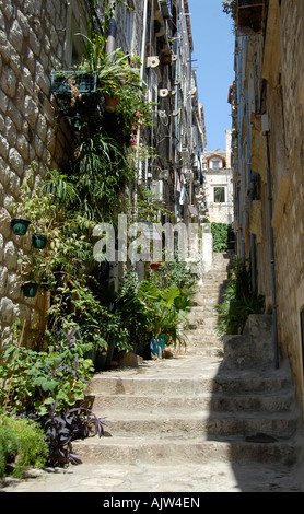 Rue étroite Dubrovnik Istrie Croatie Banque D'Images