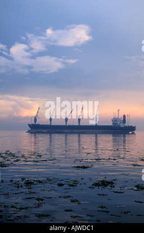 PHILIPPINES conteneurs vides dans la baie de Manille Banque D'Images