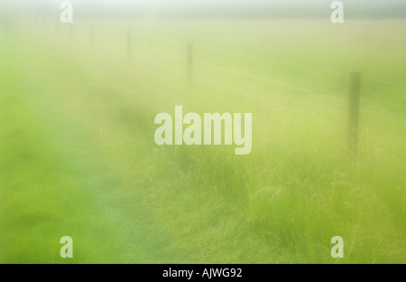 Chemin de l'herbe sur des impressions ou de la piste qui longe une clôture métallique avec un pâturage et au-delà de la couverture Banque D'Images