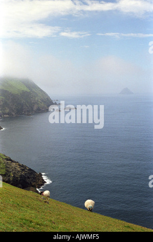 Une vue de la Grande Île Blasket, dans le comté de Kerry sur la côte sud-ouest de l'Irlande Banque D'Images