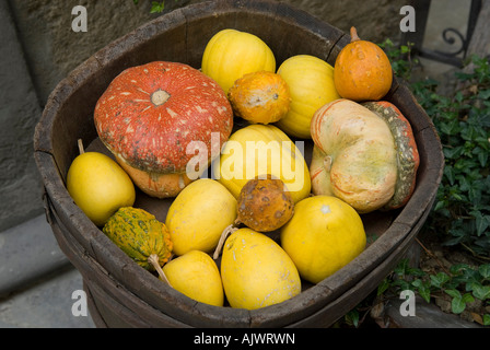 En bois ancien récipient plein de courges, Ombrie, Italie Banque D'Images