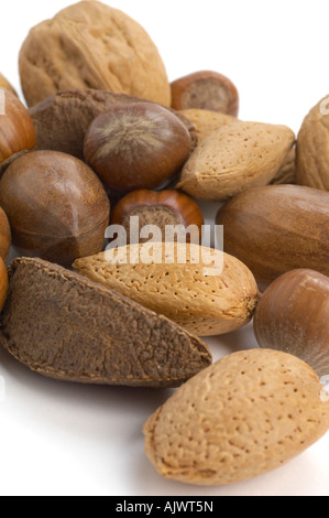 Sélection de noix de pécan et noix noisettes amandes brésils Banque D'Images