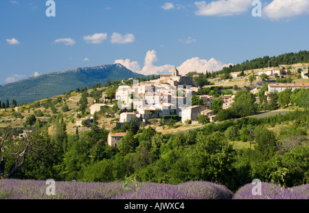 France Provence Vaucluse Région Vue sur champ de lavande à Aurel village perché Banque D'Images