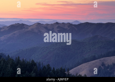 Coucher de soleil sur les pentes du Mont Tamalpais State Park, comté de Marin, en Californie, USA Banque D'Images