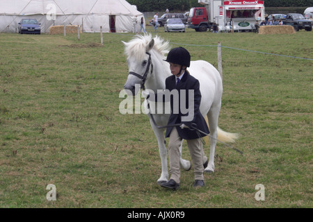 Poney Eriskay et avenant à un spectacle Banque D'Images