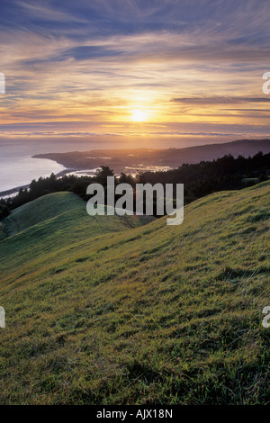 Coucher de soleil sur les pentes du Mont Tamalpais State Park, comté de Marin, en Californie, USA Banque D'Images