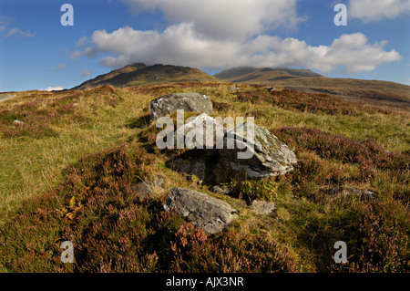 Une ligne de rochers moussus mène vers des sommets dans le lointain Ben Lawers National Nature Reserve, près de l'Ecosse Perthshire Killin Banque D'Images