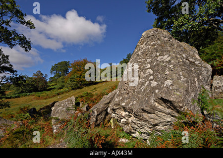 Glen Lochay au début de l'automne avec un bois parsemé de compensation avec de grands blocs aléatoires avec des arbres derrière le Perthshire Scotland UK Banque D'Images