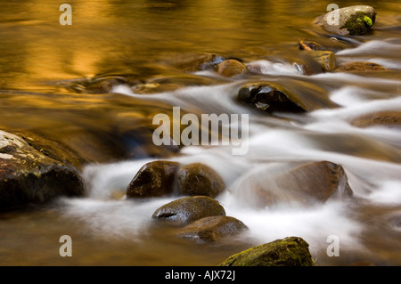 Little River rapids et cailloux avec matin réflexions, Great Smoky Mountains National Park, California, USA Banque D'Images