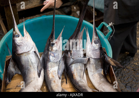 L'espadon pour vendre au marché aux poissons de Catane Sicile Italie Banque D'Images