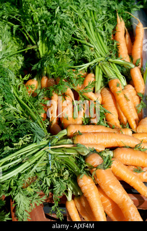 Au carottes biologiques Farmers Market Banque D'Images