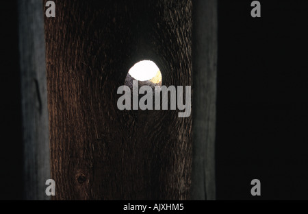 Trou dans le bois closeup Banque D'Images