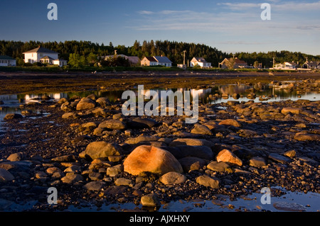 Les roches des rives et des flaques le long du golfe du Saint-Laurent, Ste. Flavie, QC Québec, Canada Banque D'Images