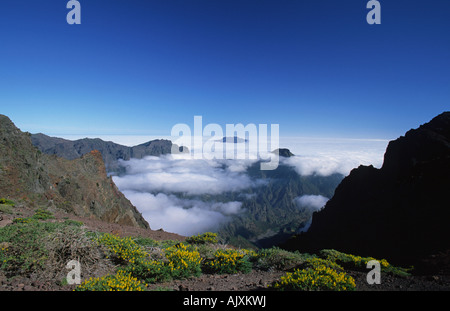 Vue depuis le Mirador de los Andenes dans le cratère de la Caldera de Taburiente La Palma Canaries Espagne Banque D'Images