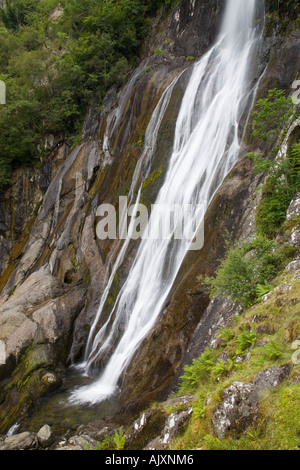 Aber Falls ou dans Coedydd Rhaeadr Fawr Aber Réserve naturelle nationale du Parc National de Snowdonia. Abergwyngregyn Gwynedd au Pays de Galles UK Banque D'Images