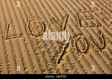 L'Amour vous écrit sur le sable message d'amour Banque D'Images