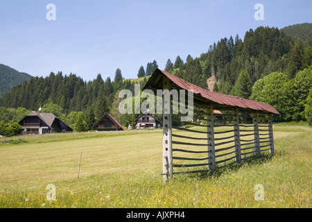 Hay rack typique pour le séchage de l'herbe coupée en fleur alpine meadow sur ferme dans les Alpes Juliennes en été. Kranjska Gora Slovénie Banque D'Images