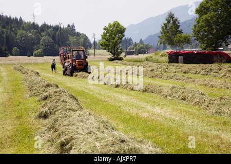 Famille avec le tracteur fenaison récolte rassemblement dans la vallée alpine meadow en Alpes Juliennes Gozd Martuljek Slovénie Banque D'Images