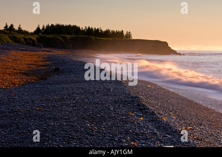 En surf léger Golfe du Saint-Laurent plage avec pointe dans la lumière du matin, le parc national Forillon, QUÉBEC Québec, Canada Banque D'Images