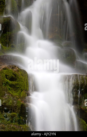 Détail de la chute Cascade, parc national Forillon, QUÉBEC Québec, Canada Banque D'Images