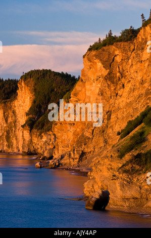 Aube lumière sur les falaises du Cap-Bon-Ami du parc national Forillon, Québec, QC, Canada Banque D'Images