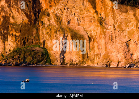 Aube lumière sur les falaises du Cap-Bon-Ami lointain avec bateau de pêche du crabe, le parc national Forillon, QUÉBEC Québec, Canada Banque D'Images