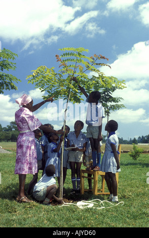 La supervision de l'enseignant avec ses élèves des expériences scientifiques dans le domaine d'une école primaire en milieu rural 20 miles au nord de première S Banque D'Images