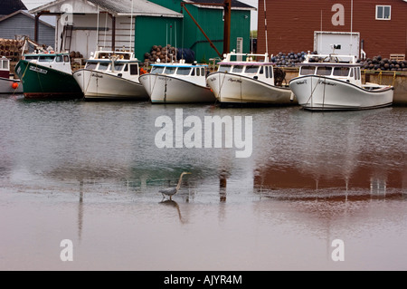 Amarré dans le port de palangriers de Malpèque, de Malpeque, PE/PEI Prince Edward Island, Canada Banque D'Images