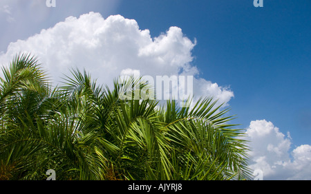 Les nuages blancs moelleux dramatique ciel ensoleillé Banque D'Images