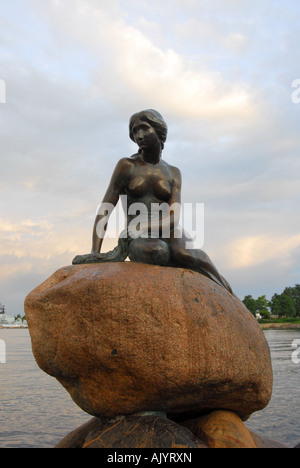 Petite Sirene famous 1913 statue dans le port de Copenhague, Danemark. Belle lumière du soir Banque D'Images
