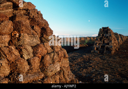 Des piles de la tourbe Torf / Torfsoden / Gestochener Banque D'Images