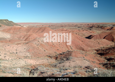 De Painted Desert View Point de Tiponi Arizona United States America USA Banque D'Images