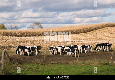 Ferme laitière dans la vallée de l'Hudson, New York Banque D'Images