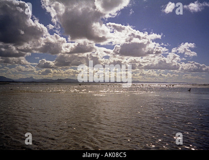 De superbes éléments pacifique voyage surréaliste dimension profonde nuages soleil oiseau du vent de Lauca Chili Amérique Latine du Sud Banque D'Images