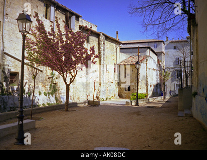 Voir l'arbre rural typique caractéristique backstreet sable fleur rose garden house wall lamp post Montpellier France Europe Banque D'Images