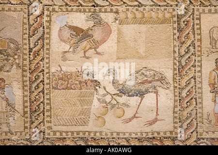 Tripoli (Libye). Quatre saisons de la mosaïque romaine de Leptis Magna, Musée Jamahiriyya Banque D'Images