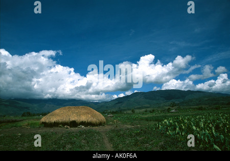 Hut en Papouasie de l'Irian Jaya en Indonésie Banque D'Images