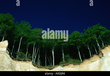 Craie Côte / Kreidefelsenkueste Banque D'Images