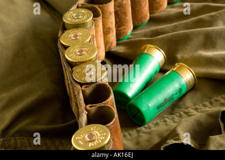 Les cartouches de fusil de chasse et la courroie Banque D'Images