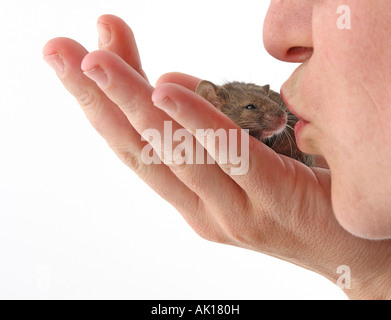 amis de baisers Banque D'Images