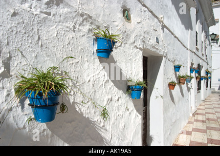 Cache-pots sur un mur dans une rue typique de la vieille ville, Mijas, Costa del Sol, Andalousie, Espagne Banque D'Images