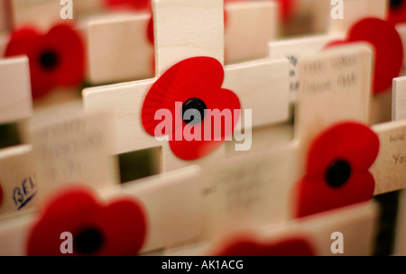 Un close-up de croisements & coquelicots placés dans le champ du souvenir dans le parc de l'abbaye de Westminster, à honorer les morts de la guerre Banque D'Images