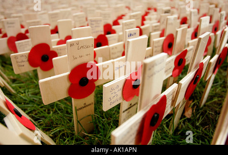 Un close-up de croisements & coquelicots placés dans le champ du souvenir dans le parc de l'abbaye de Westminster, à honorer les morts de la guerre Banque D'Images