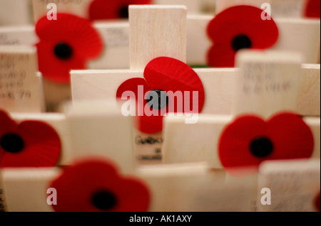 Un close-up de croisements & coquelicots placés dans le champ du souvenir dans le parc de l'abbaye de Westminster, à honorer les morts de la guerre Banque D'Images