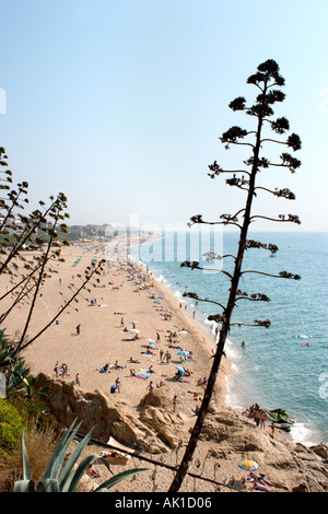 Vue sur la plage de Calella, Costa Brava, Catalogne, Espagne Banque D'Images