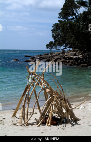 Pile de bois flotté sur la plage, Gemstone Bay, Nouvelle-Zélande Banque D'Images